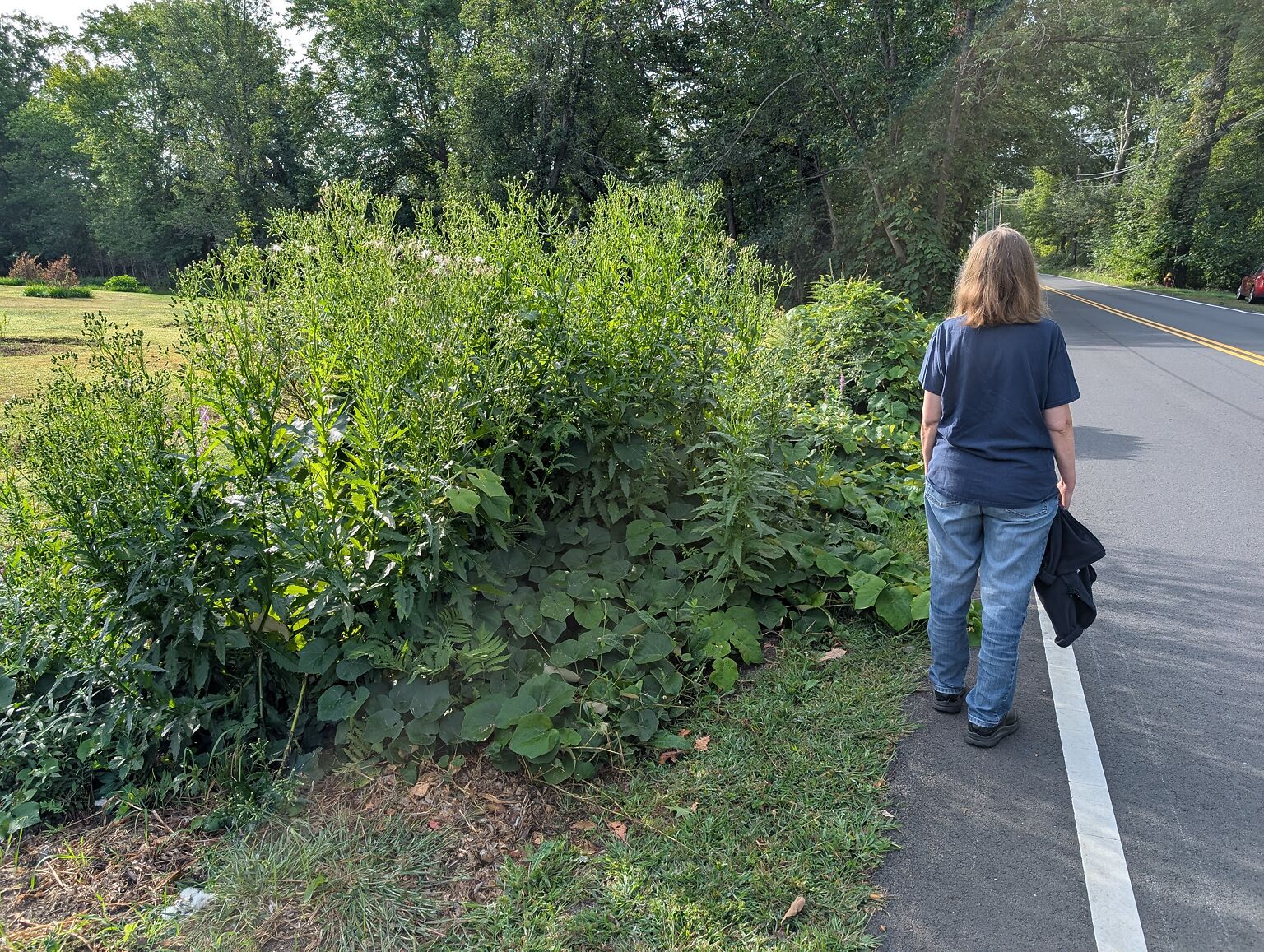 Pxl_20250901_124156505