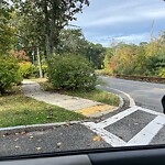 Line of Sight Obstruction at 164 Concord Rd