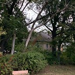 Public Trees at 42.59 N 71.29 W