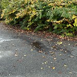 Pothole at 42.53 N 71.27 W