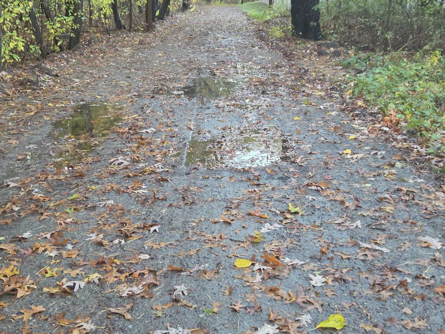 Photo_20251031_074600