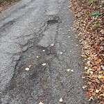 Pothole at 1–17 Shady Hill Ave