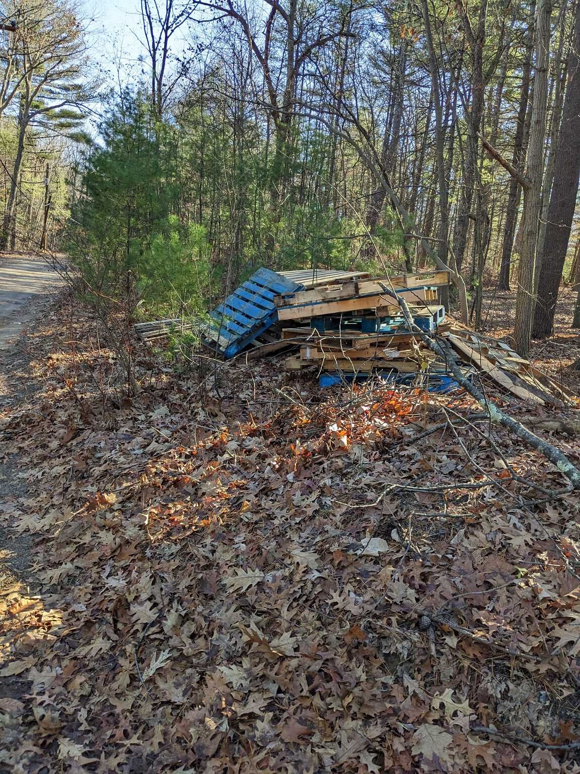 Photo_20251202_155325