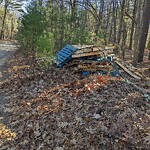 Roadway at 16 Wamesit Ave