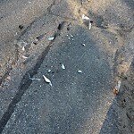 Other at 46 Pinehurst Ave