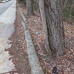 Trash/Recycling at 30 Lowell St, North Billerica