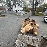 Trash/Recycling at 8 Sunrise Ave