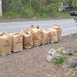 Trash/Recycling at 10 Boston Rd, North Billerica