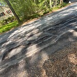 Roadway at 5 Farm St