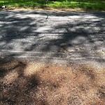 Pothole at 5 Farm St