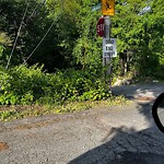 Line of Sight Obstruction at 21 Burlington Rd