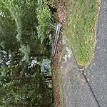 Stormwater at 17 Keneson Rd