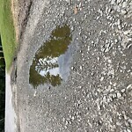 Pothole at Dane Ave, North Billerica