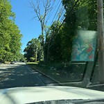 Public Trees at 294 Concord Rd