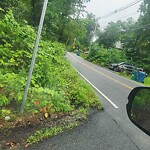 Line of Sight Obstruction at 48 Marshall St