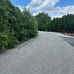 Other at 1–99 Port Sunlight Rd, North Billerica