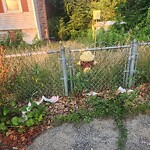 Other at 9 Eliot St