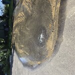 Water at Yale St