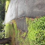 Stormwater at 44 Shawsheen Rd