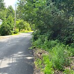 Line of Sight Obstruction at 96 Wyman Rd