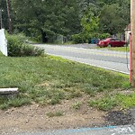 Line of Sight Obstruction at 18–98 Avondale Ave