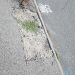 Sidewalk Repair at 22 Rio Vista St, North Billerica