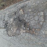Pothole at Rainbow Ln