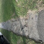 Sidewalk Repair at 18 Norman Rd