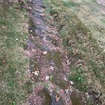 Sidewalk Repair at 23 Governor Fuller Rd